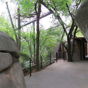 Wilds of Africa - Gorilla Trail - Forest Aviary