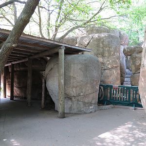 Wilds of Africa - Gorilla Trail - Kopje Area