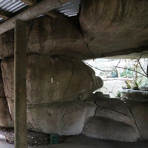 Wilds of Africa - Gorilla Trail - Kopje Aviary