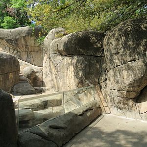 Wilds of Africa - Gorilla Trail - Rock Hyrax and Klipspringer Exhibit