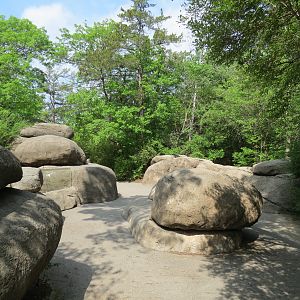 Wilds of Africa - Gorilla Trail - Kopje Area