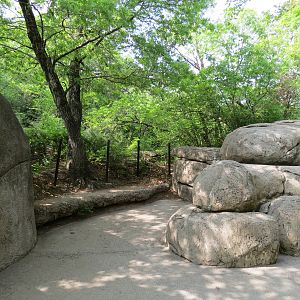 Wilds of Africa - Gorilla Trail - Marabou Stork and Lappet-faced Vulture Ex
