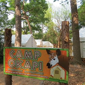Wilds of Africa - Gorilla Trail - Camp Okapi