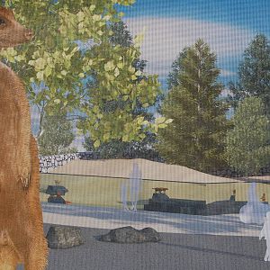 New Meerkat exhibit diagram