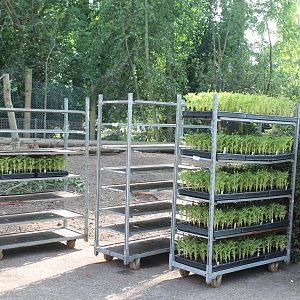 Mottershead Memorial Garden 11th June 2013
