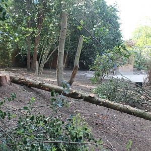 Mottershead Memorial Garden 11th June 2013