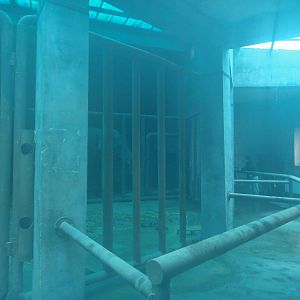 Inside the elephant house