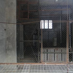 Gibbon in the winter house