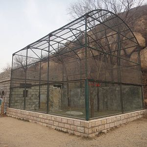 Gibbon enclosure