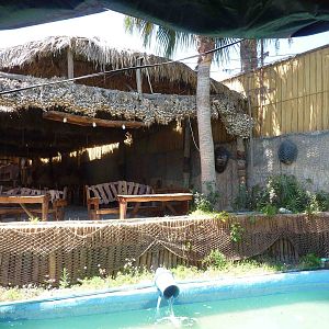 Buildings adorned with turtleshell and garlic, April 2013.