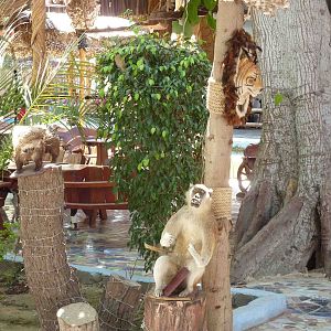 Scary stuffed animals, April 2013.