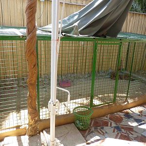 Spaniel enclosure, April 2013.