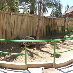 Camel enclosure, April 2013.