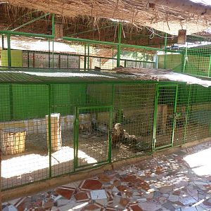 Bird of prey enclosures, April 2013.