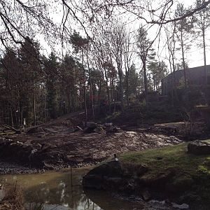 Extended gorilla enclosure