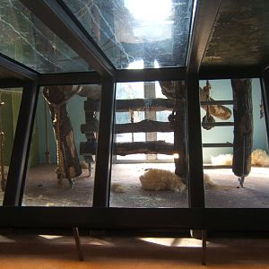 View inside of the Gorilla House this used to be where the Okapis were