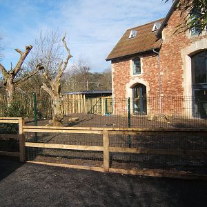 Cassowary paddock waiting planting