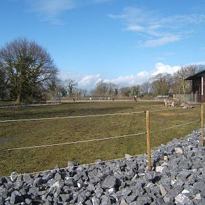 View of African plains enclosure