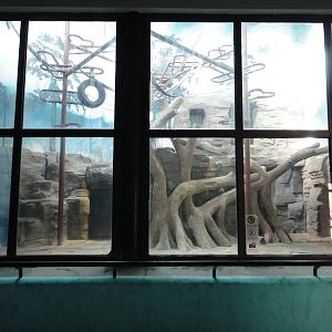 Chimpanzee enclosure