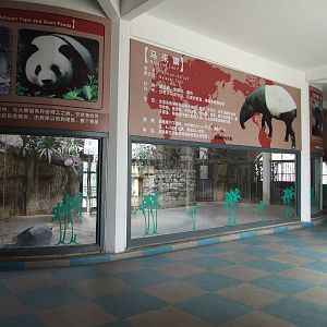 Inside the Malayan tapir house
