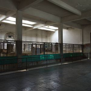 Inside the American tapir house