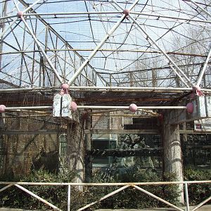 Snub-nosed monkey enclosure