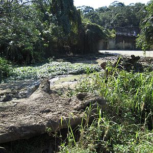 White Rhinoceros Exhibition
