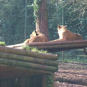 Paignton Zoo 08/03/2014