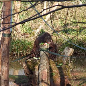 Paignton Zoo 08/03/2014