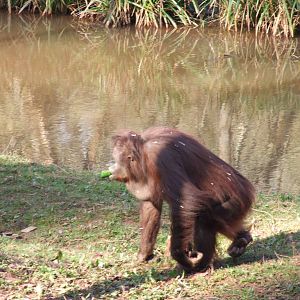 Paignton Zoo 08/03/2014