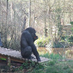 Paignton Zoo 08/03/2014