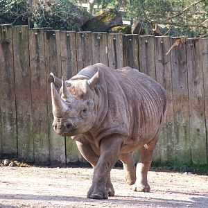 Paignton Zoo 08/03/2014