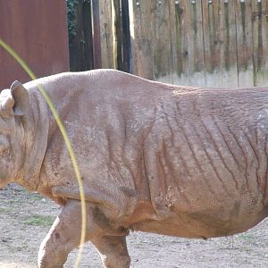 Paignton Zoo 08/03/2014