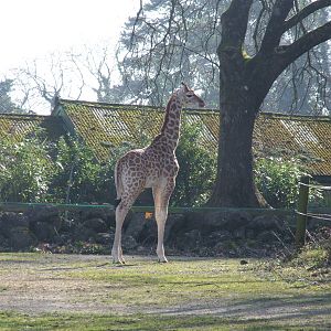 Paignton Zoo 08/03/2014