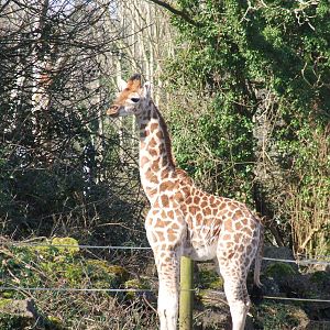 Paignton Zoo 08/03/2014