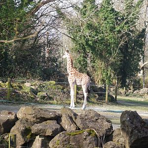 Paignton Zoo 08/03/2014