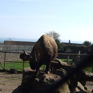 Paignton Zoo 08/03/2014