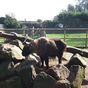 Paignton Zoo 08/03/2014