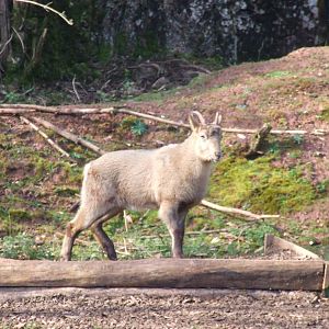 Paignton Zoo 08/03/2014