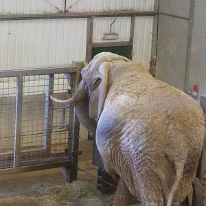 Paignton Zoo 08/03/2014