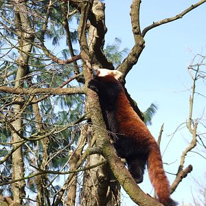 Paignton Zoo 08/03/2014