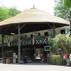 Wilds of Africa - Monorail Safari - Station
