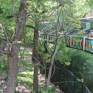 Wilds of Africa - Monorail Safari - Okapi Exhibit 2