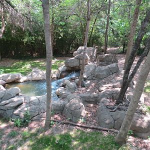 Wilds of Africa - Monorail Safari - Okapi Exhibit 2