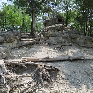 Wilds of Africa - Monorail Safari - Mountain Exhibit for Nubian Ibex