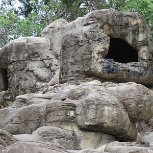 Wilds of Africa - Monorail Safari - Mountain Exhibit for Nubian Ibex