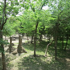 Wilds of Africa - Monorail Safari - Woodland Exhibit for Grevys Zebra