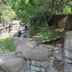 Wilds of Africa - Monorail Safari - Prey Exhibit for Dik-dik