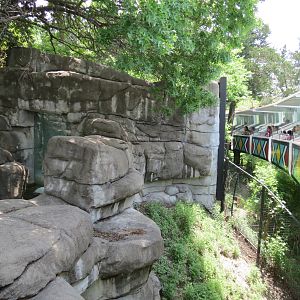 Wilds of Africa - Monorail Safari - Prey Exhibit for Dik-dik