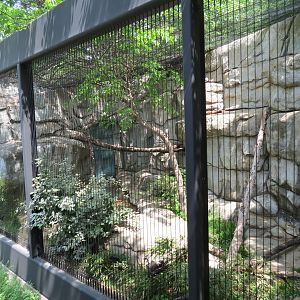 Wilds of Africa - Monorail Safari - Predator Exhibit for Caracal